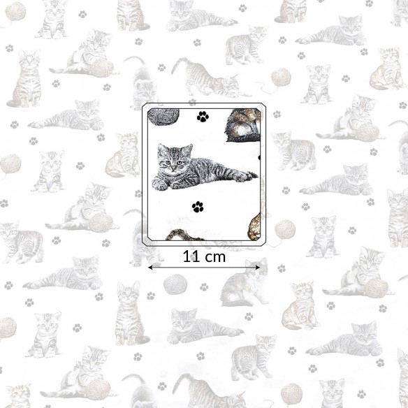 Tela de algodón - Patas de gatos e hilo en blanco