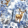 Tela de algodón - paisaje navideño azul