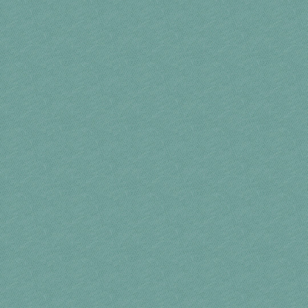French Terry Knit - Dirty mint